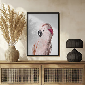 Tablou înramat „Pink Cockatoo” de Kathrin Pienaar