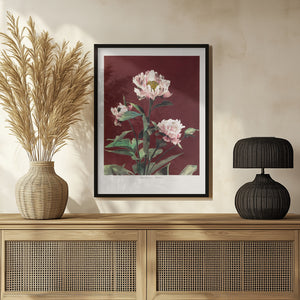 Tablou înramat „Hærdaceous Peony no2” de Ogawa Kazumasa