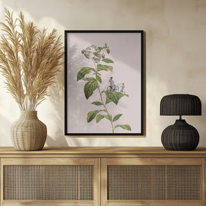 Tablou înramat „Botanical cycling” de Frida Floral Studio