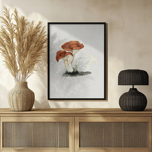 Tablou înramat „Hand Drawn Rufous Milkcap Mushroom” de Biodiversity Heritage Library
