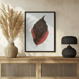 Tablou înramat „Acalypha Tricolor Leaf Illustration” de Les Plantes a Feuillage Colore
