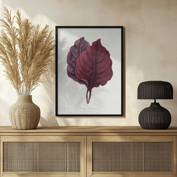 Tablou înramat „Pink Amarantus Leaf Illustration” de Les Plantes a Feuillage Colore