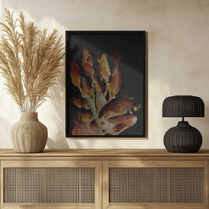 Tablou înramat „Night Plant” de Dan Hobday