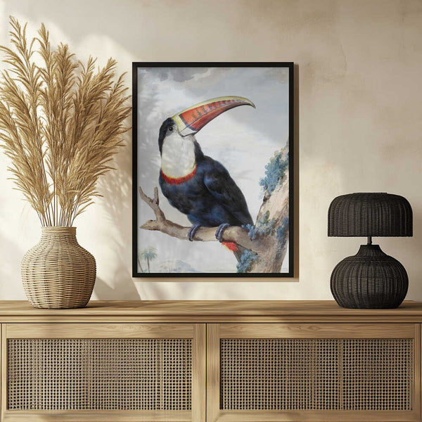 Tablou înramat „Red Billed Toucan” de Aert Schouman