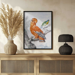Tablou înramat „Two Exotic Birds” de Aert Schouman