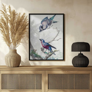 Tablou înramat „Two Birds  a Blue Jay and a Purple Breasted Cotinga” de Aert Schouman