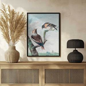 Tablou înramat „Two Birds  Hawfinch” de Aert Schouman