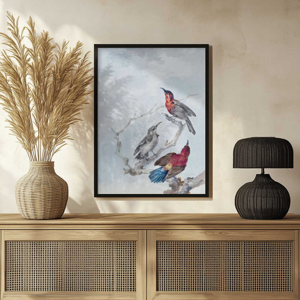 Tablou înramat „Three Crimson Sunbirds” de Aert Schouman