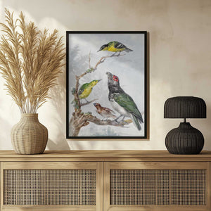 Tablou înramat „Four Different Birds On a Branch” de Aert Schouman