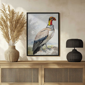 Tablou înramat „Stone Curlew” de Aert Schouman