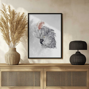 Tablou înramat „Cockatoo Head” de Aert Schouman