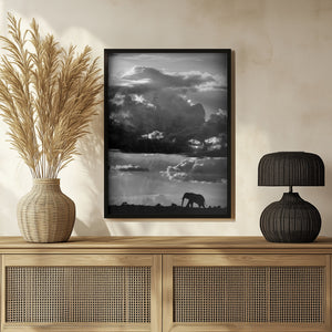 Tablou înramat „He walks under an African Sky” de WildPhotoArt
