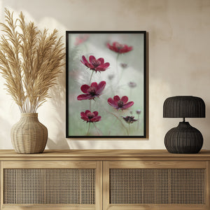 Tablou înramat „Cosmos sway” de Mandy Disher
