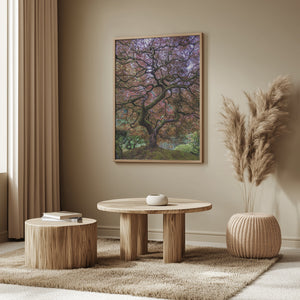 Tablou înramat „Japanese Maple Tree” de Mike Centioli