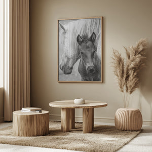 Tablou înramat „The Foal” de Jacky Parker