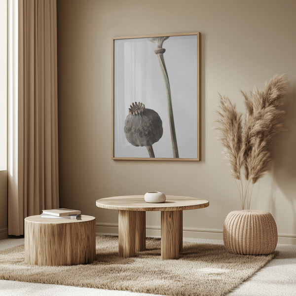 Tablou înramat „Dried_005” de Pictufy Studio III