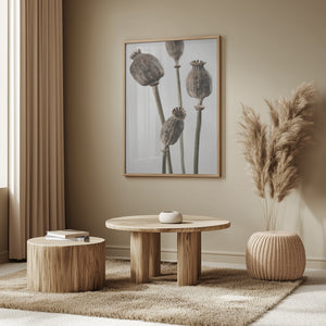 Tablou înramat „Dried_006” de Pictufy Studio III