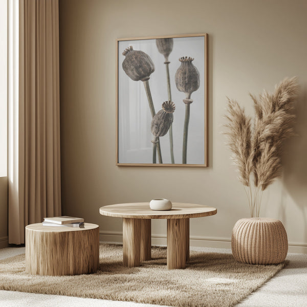 Tablou înramat „Dried_006” de Pictufy Studio III