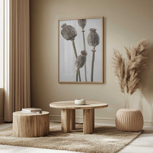 Tablou înramat „Dried_006” de Pictufy Studio III