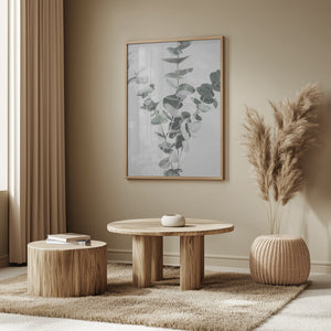 Tablou înramat „Eucalyptus_002” de Pictufy Studio III