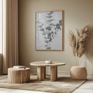 Tablou înramat „Eucalyptus_002” de Pictufy Studio III