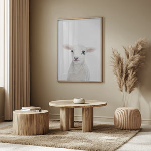 Tablou înramat „Baby Lamb” de Kathrin Pienaar