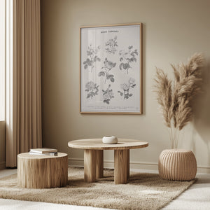 Tablou înramat „Roses” de Florent Bodart