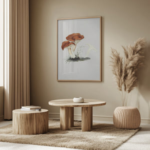 Tablou înramat „Hand Drawn Rufous Milkcap Mushroom” de Biodiversity Heritage Library