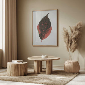 Tablou înramat „Acalypha Tricolor Leaf Illustration” de Les Plantes a Feuillage Colore