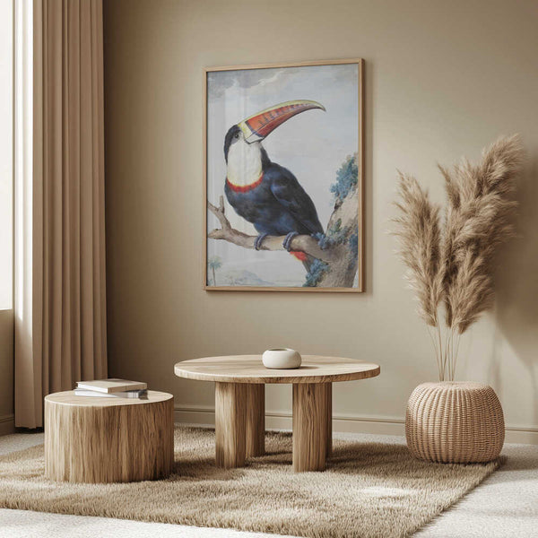 Tablou înramat „Red Billed Toucan” de Aert Schouman