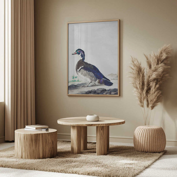 Tablou înramat „A Duck” de Aert Schouman