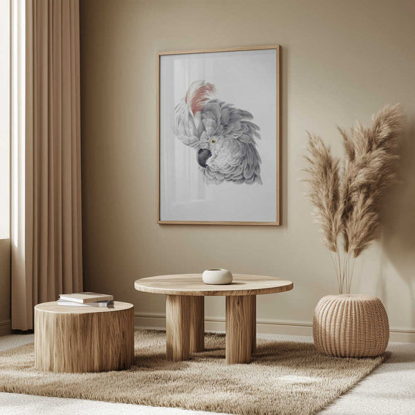 Tablou înramat „Cockatoo Head” de Aert Schouman