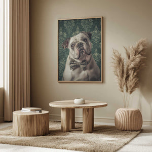 Tablou înramat „The Gentleman Bulldog” de SHANDU