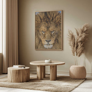 Tablou înramat „Serious Lion” de Mike Centioli