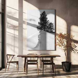 Tablou canvas „About the snow and forms” de Rodrigo Núñez Buj