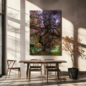 Tablou canvas „Japanese Maple Tree” de Mike Centioli