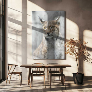 Tablou canvas „Lynx portrait in the fog” de Santiago Pascual Buye