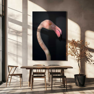 Tablou canvas „F L A M B O Y A N C E” de fegari