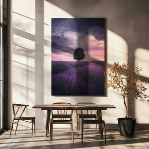 Tablou canvas „Lavender Fields, Isparta” de Cuma Cevik
