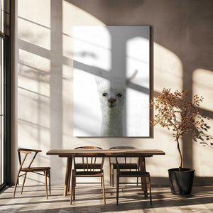 Tablou canvas „Llama” de Pictufy Studio II