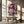 Tablou canvas „Pink Rose No 04” de Pictufy Studio III