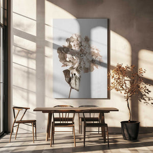 Tablou canvas „Beige dried flower” de Pictufy Studio III