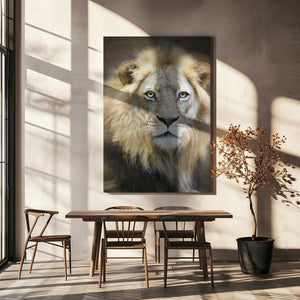 Tablou canvas „Portrait of a Young Male Lion” de Linda D Lester