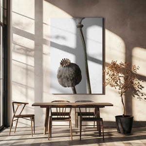 Tablou canvas „Dried_005” de Pictufy Studio III