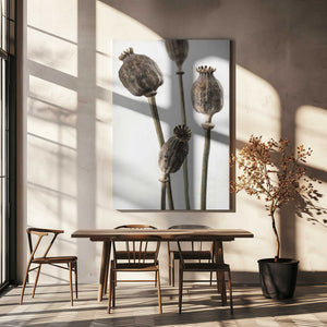Tablou canvas „Dried_006” de Pictufy Studio III
