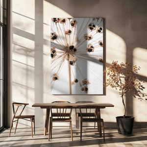 Tablou canvas „Dried_007” de Pictufy Studio III