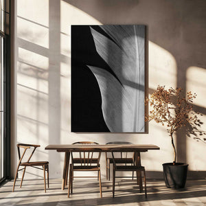 Tablou canvas „Feather_005” de Pictufy Studio III