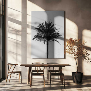 Tablou canvas „Palm_003” de Pictufy Studio III