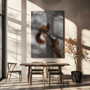 Tablou canvas „scoiattolo rosso” de Marco Barisone