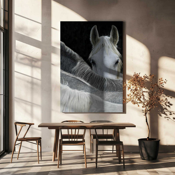 Tablou canvas „Look” de Milan Malovrh